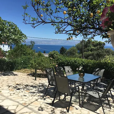 Dream View