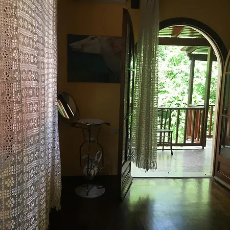 Dream View